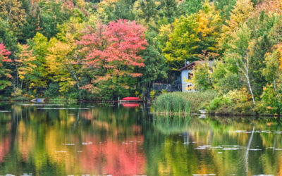 Les travaux à faire dans votre jardin en automne